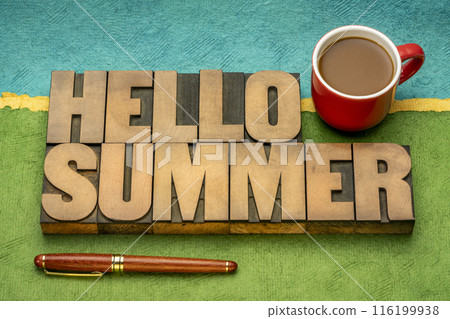 hello summer greetings  -  word abstract in wood type against abstract paper landscape 116199938