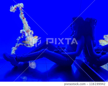A girl in an aquarium against the background of floating jellyfish in a colourful aquarium 116199942