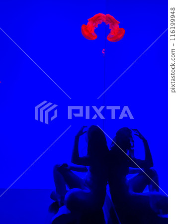 A girl in an aquarium against the background of floating jellyfish in a colourful aquarium 116199948