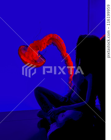 A girl in an aquarium against the background of floating jellyfish in a colourful aquarium 116199959