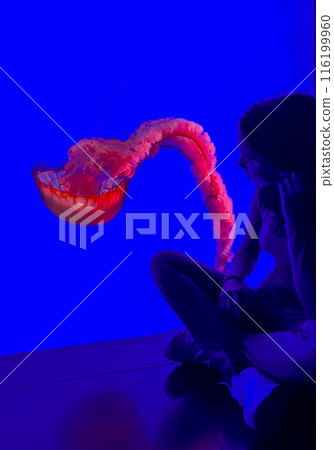 A girl in an aquarium against the background of floating jellyfish in a colourful aquarium 116199960
