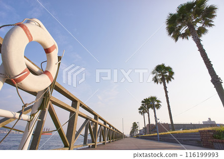 White lifebuoy and palm tree White lifebuoy and palm tree 116199993
