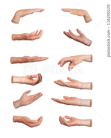 Palms giving, taking, begging, asking and holding gestures, hand sign isolated on white background, 116200220