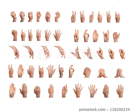 Big gestures set, different hand signs pack isolated on white background Big gestures set, different hand signs pack isolated on white background 116200234