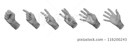 Counting fingers set from null zero fist to one, two, three, four and five numbers, hand sign 116200243