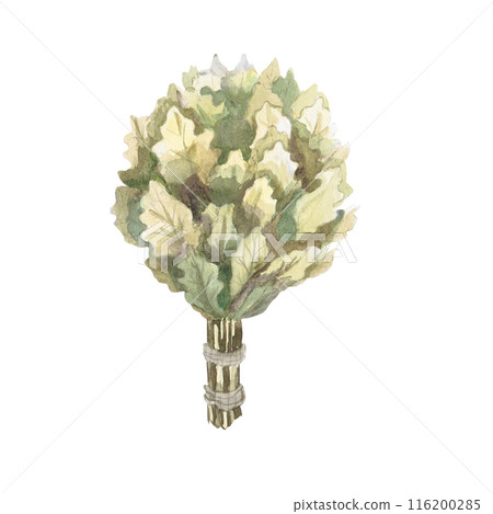 Oak broom in watercolor illustration on a white background. Hand-drawn illustration of a bouquet of oak for advertising spas, baths, saunas, beauty salons 116200285