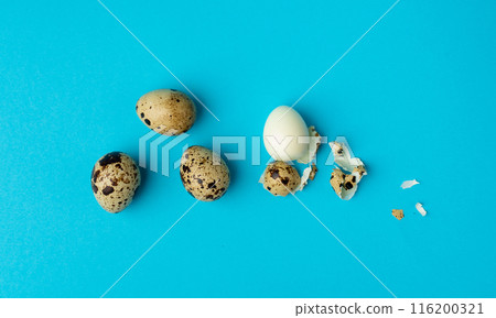 Quail Eggs, Diet Egg, Healthy Breakfast, Natural Organic Nutrition, Salad Ingredient Spotted Quail Egg Quail Eggs, Diet Egg, Healthy Breakfast, Natural Organic Nutrition, Salad Ingredient Spotted Quail Egg 116200321