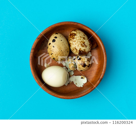 Quail Eggs, Diet Egg, Healthy Breakfast, Natural Organic Nutrition, Salad Ingredient Spotted Quail Egg Quail Eggs, Diet Egg, Healthy Breakfast, Natural Organic Nutrition, Salad Ingredient Spotted Quail Egg 116200324