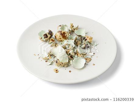 Broken Quail Egg Shell, Crushed Quail Eggshell, Calcium Supplement, Cracked Eggshells, Compost Ingredient 116200339