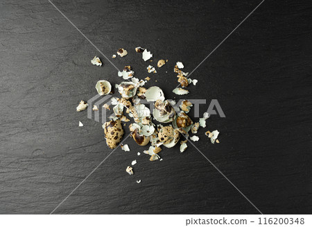 Broken Quail Egg Shell, Crushed Quail Eggshell, Calcium Supplement, Cracked Eggshells, Compost Ingredient Broken Quail Egg Shell, Crushed Quail Eggshell, Calcium Supplement, Cracked Eggshells, Compost Ingredient 116200348