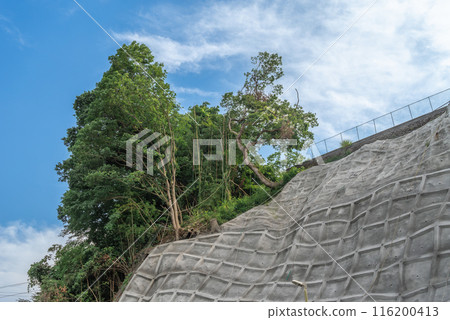 Blue sky, trees and slope construction 116200413