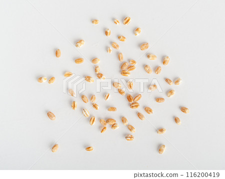 Wheat Grains, Barley Pile, Dry Cereal Seeds, Wheat Grains Heap on White 116200419