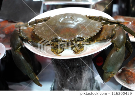 Giant Sundarban Crab is for sale 116200439