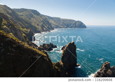 Cape Ortegal cliffs landscape, Galicia, Spain 116200608