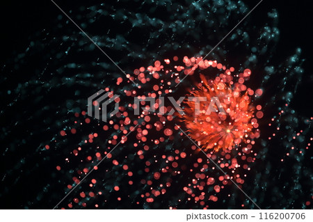 fireworks lighting up the night sky 116200706