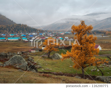 Russian remote village in the Altai mountains. 116200771