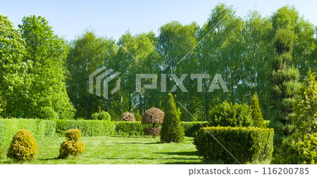 Landscaped park with a garden bed and various trees and shrubs on the lawn, evergreens and seasonal plants. Wide photo. 116200785