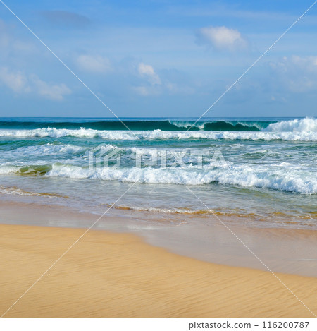 beautiful tropical beach and sea in sunny day 116200787