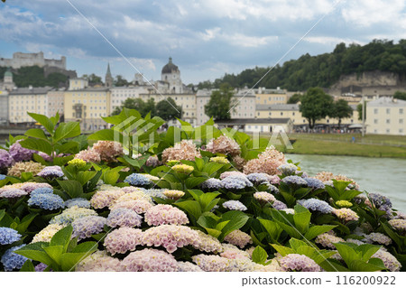 panoramic view of the Salzburg, Austria 116200922
