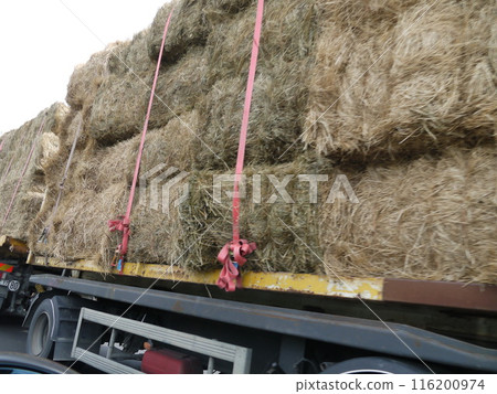 Autodosen 116200974
