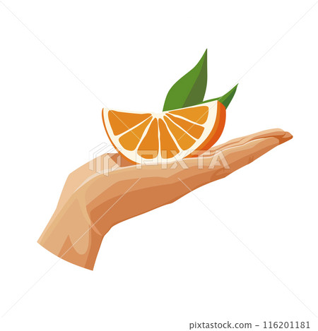 red orange in the palm isolated on white background. Vector fruit clipart in flat style for design red orange in the palm isolated on white background. Vector fruit clipart in flat style for design 116201181