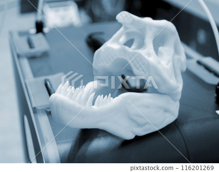 Art object printed on 3D printer. Prototype dinosaur skull head with teeth. Model printed on 3D printer from melted plastic. Object printed close-up. Concept new modern innovation printing technology Art object printed on 3D printer. Prototype dinosaur skull head with teeth. Model printed on 3D printer from melted plastic. Object printed close-up. Concept new modern innovation printing technology 116201269