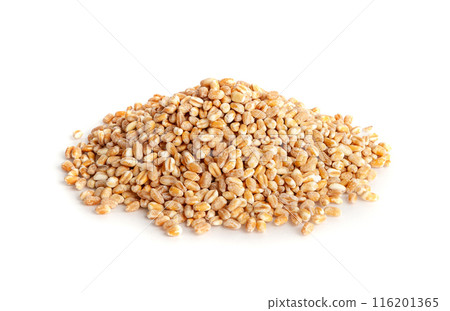 Wheat Grains, Barley Pile, Dry Cereal Seeds, Wheat Grains Heap on White Wheat Grains, Barley Pile, Dry Cereal Seeds, Wheat Grains Heap on White 116201365