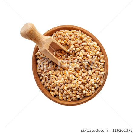 Wheat Grains, Barley Pile, Dry Cereal Seeds, Wheat Grains Heap on White 116201375