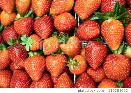 Fresh strawberries texture background, many strawberries at market. Vibrant red, juicy and ripe 116201622