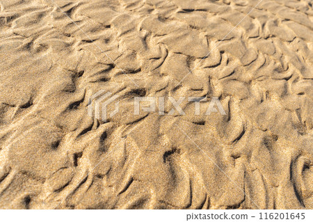Sand Texture Background, Sandy Beach Pattern, Beige Ocean Dune Wallpaper, Wet Beach Sand Texture Background, Sandy Beach Pattern, Beige Ocean Dune Wallpaper, Wet Beach 116201645