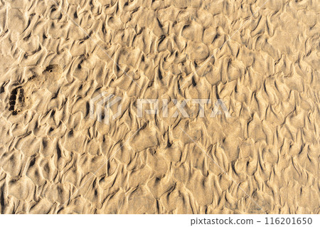 Sand Texture Background, Sandy Beach Pattern, Beige Ocean Dune Wallpaper, Wet Beach 116201650