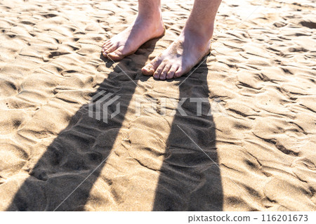 Sand Texture Background, Sandy Beach Pattern, Beige Ocean Dune Wallpaper, Wet Beach 116201673