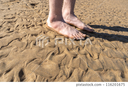 Sand Texture Background, Sandy Beach Pattern, Beige Ocean Dune Wallpaper, Wet Beach Sand Texture Background, Sandy Beach Pattern, Beige Ocean Dune Wallpaper, Wet Beach 116201675