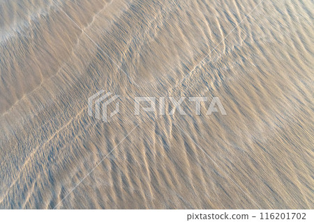 Sand Texture Background, Sandy Beach Pattern, Beige Ocean Dune Wallpaper, Wet Beach Sand Texture Background, Sandy Beach Pattern, Beige Ocean Dune Wallpaper, Wet Beach 116201702