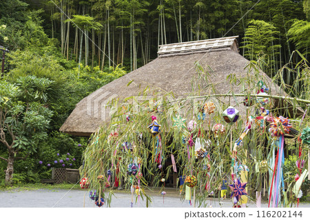 Hydrangeas, thatched roofs, Orihime and Hikoboshi 116202144