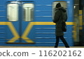Subway cars arrive at the station. Underground transport. Passenger on the station. 116202162