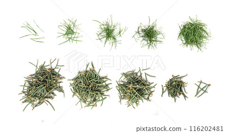 Heap of pine needles isolated on white background 116202481