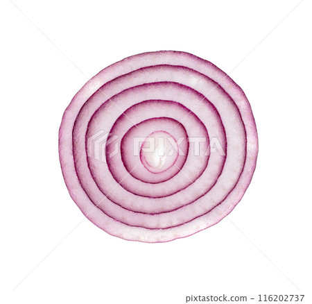 Fresh sliced red onion isolated. Raw purple onion rings set or shallot slices collection top view 116202737