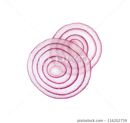 Fresh sliced red onion isolated. Raw purple onion rings set or shallot slices collection top view Fresh sliced red onion isolated. Raw purple onion rings set or shallot slices collection top view 116202739