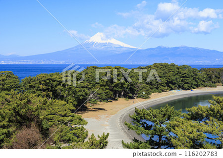 Mount Fuji in Suruga Bay Mount Fuji in Suruga Bay 116202783