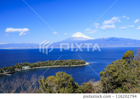 Mount Fuji in Suruga Bay Mount Fuji in Suruga Bay 116202794