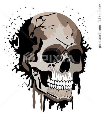 Human skull. Graffiti style. Vector isolated illustration 116202836