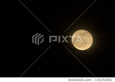April, the sixteenth night moon has just risen 116202882