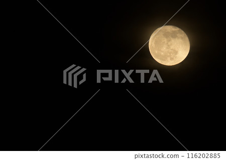 卯月四月十六夜的月亮剛升起 116202885
