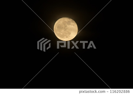 April, the sixteenth night moon has just risen 116202886