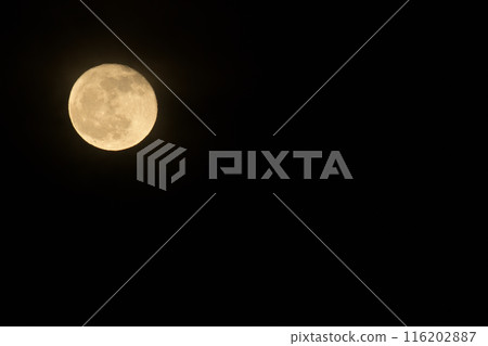 卯月四月十六夜的月亮剛升起 116202887
