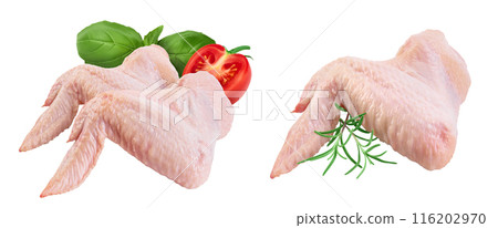 Raw chicken wings isolated on white background with full depth of field 116202970