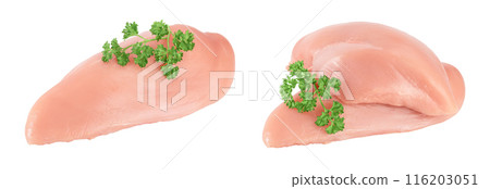 Fresh chicken fillet with parsley isolated on white background with full depth of field. Fresh chicken fillet with parsley isolated on white background with full depth of field. 116203051
