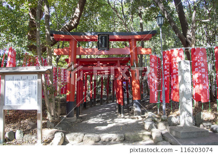 Koza Inarisha Taiko Shuse Inari 116203074