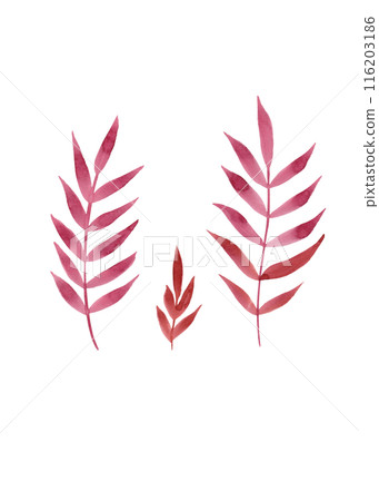 Red rowan branches. Natural beauty. Clipart of simple autumn twigs. Colorful texture. Rustic watercolor branches 116203186